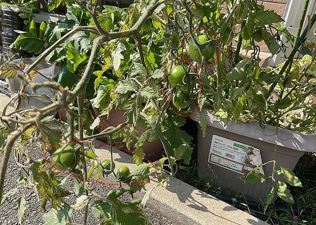 スクリーンショット 2025-11-07 143221.jpg