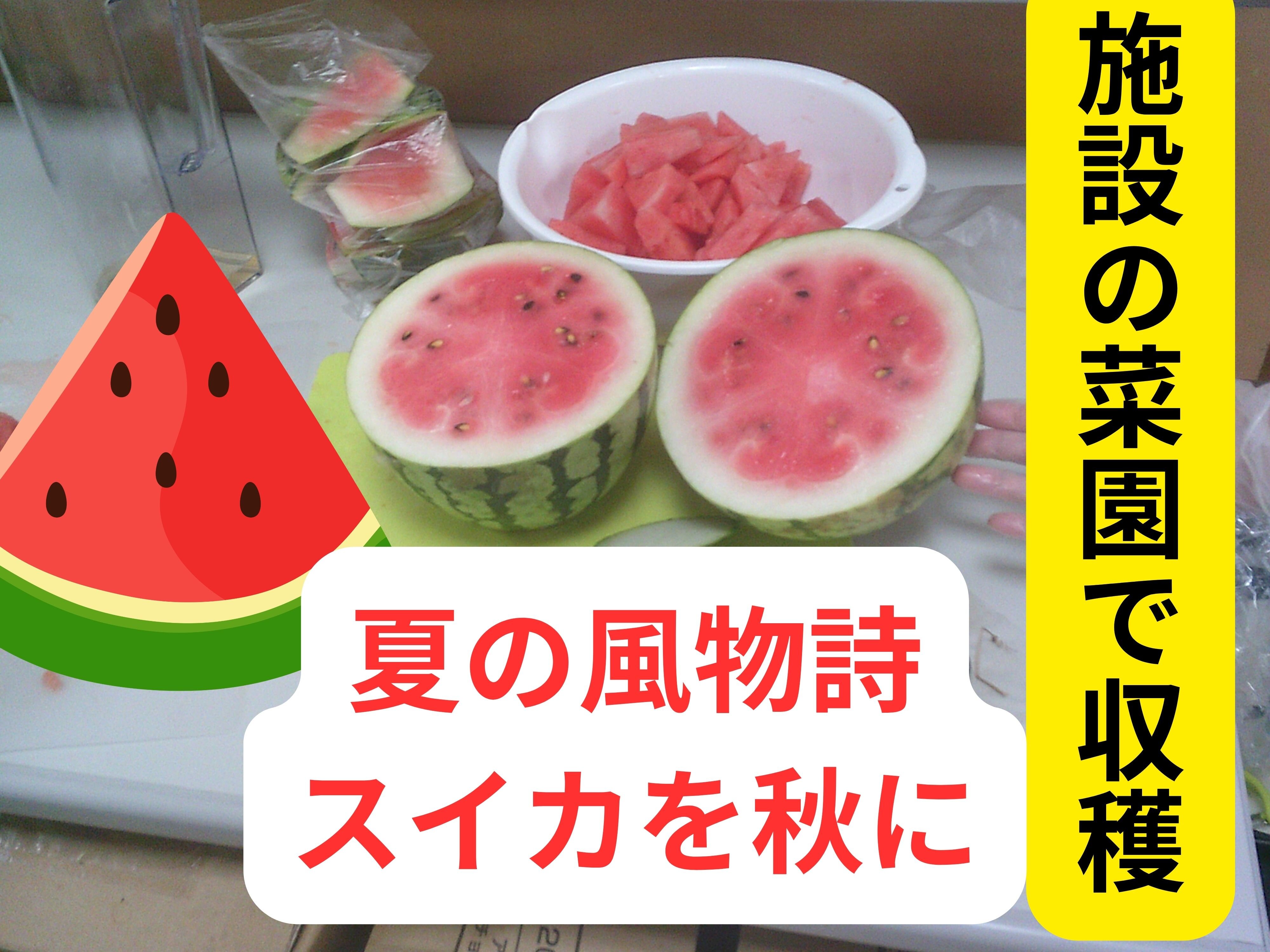 ブログ⑤.jpg