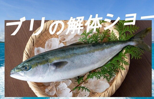 スクリーンショット 2024-03-24 085823.jpg