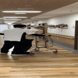 Videotogif (38).MP4.gif