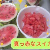ブログ④.jpg