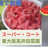 ブログ.jpg