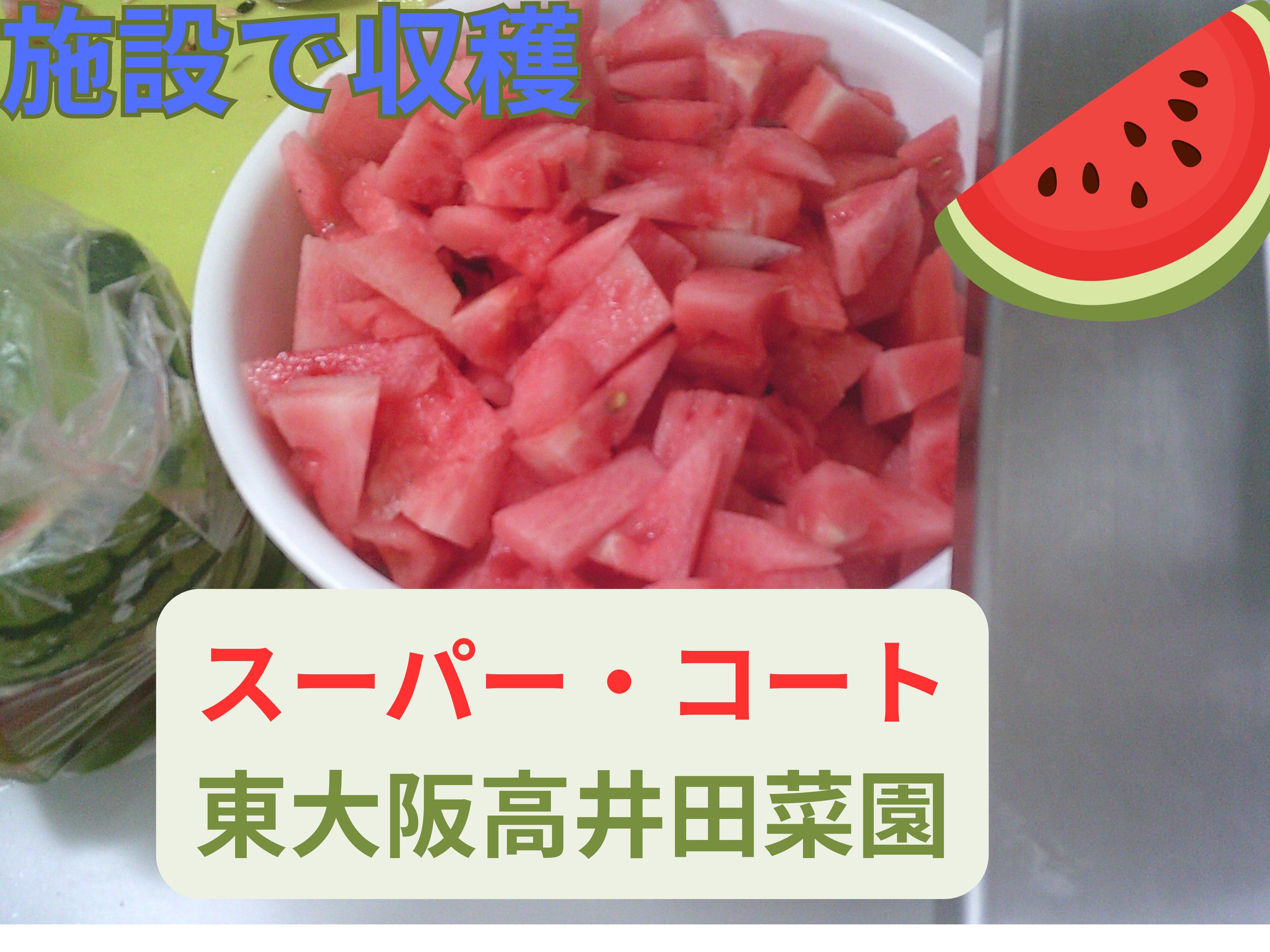 ブログ.jpg