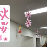 IMG_E8738.JPG