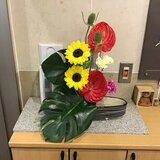 IMG_0051.JPG