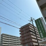 IMG_1317.jpg