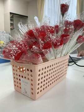 カーネーション.jpg