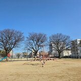 20260301_140613.jpg