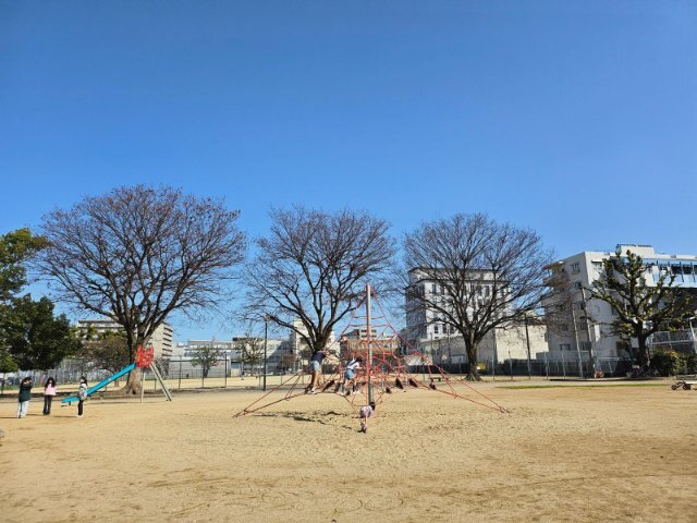 20260301_140613.jpg