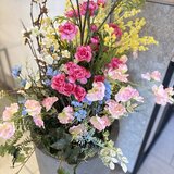 IMG_2381.jpg