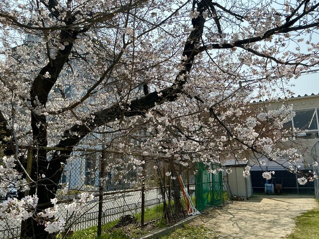 IMG_0301.jpeg