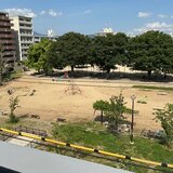 IMG_0431.jpeg