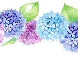 360_F_348771284_w0VgaLGrjMAkOdTEbAePzWZPWMCyzszm (1).jpeg