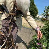 IMG_0370.jpeg