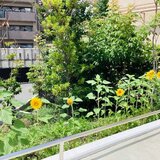 IMG_2046.jpg