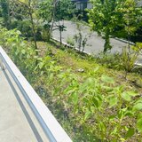 IMG_1913.jpg