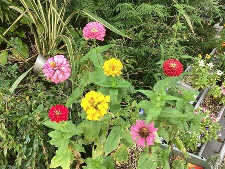 IMG_5218.jpg