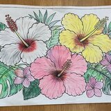 IMG_E2498.jpg