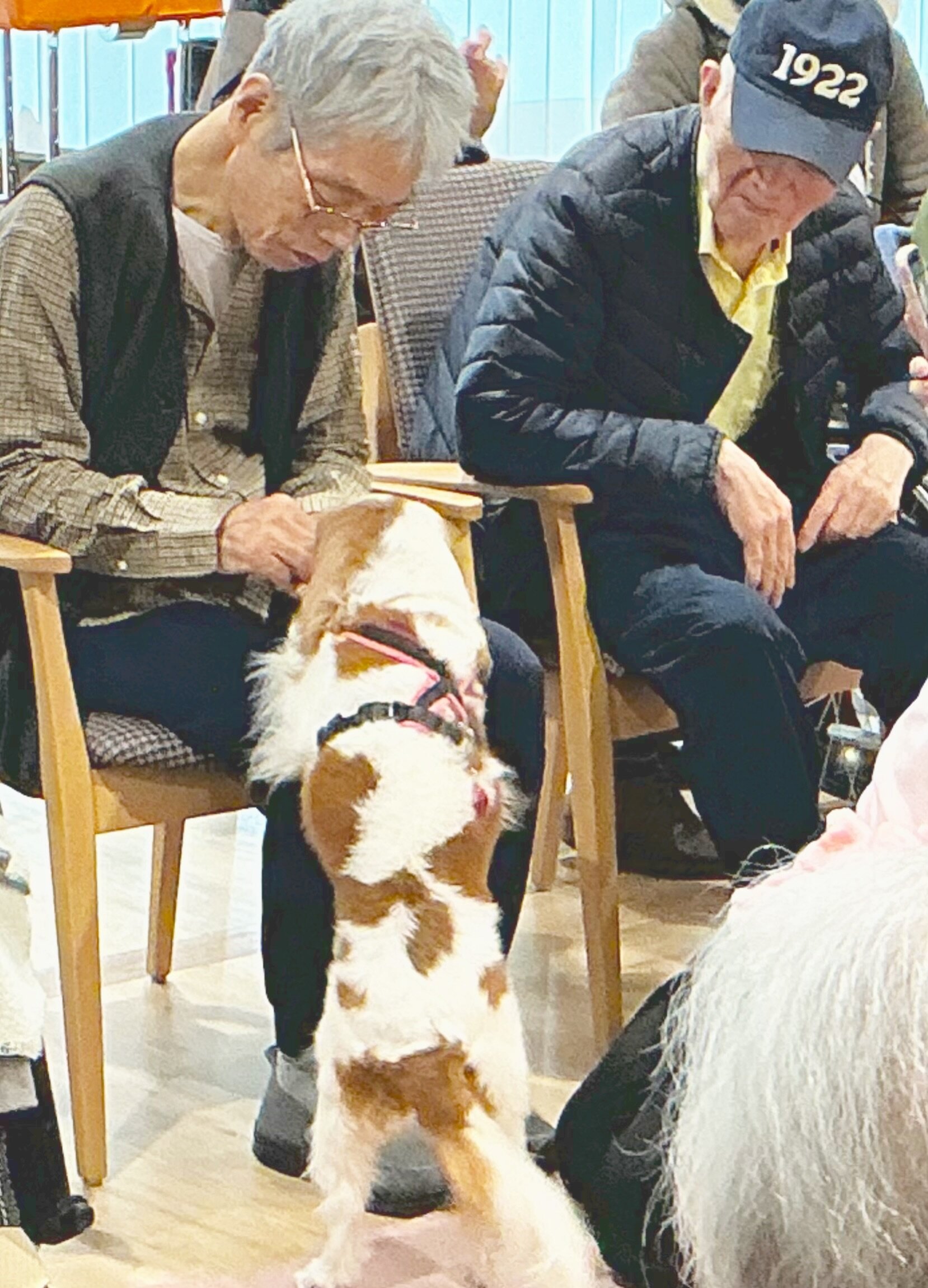 photo-output (9).jpg