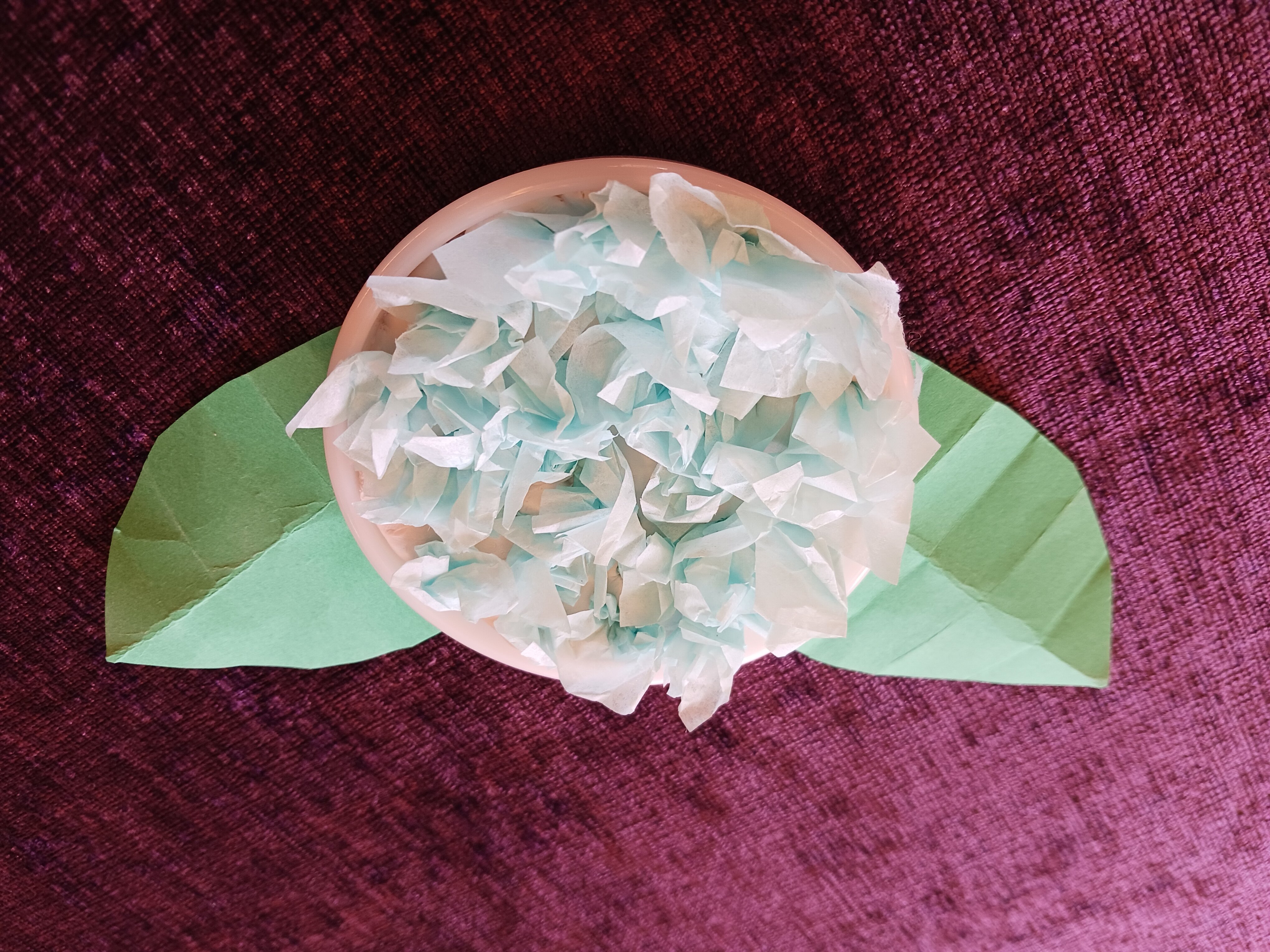 20260508_154601.jpg