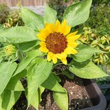 20260803_095830.jpg