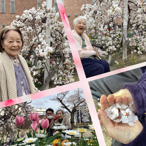 Simple Collage Blank.png