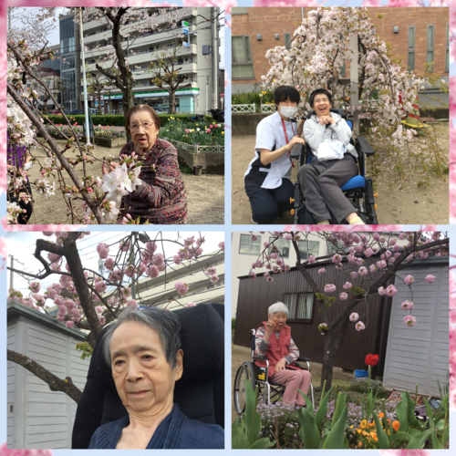 Blank 4 Grids Collage.png