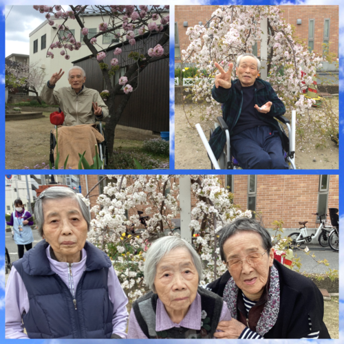 Blank 3 Grids Collage3.png