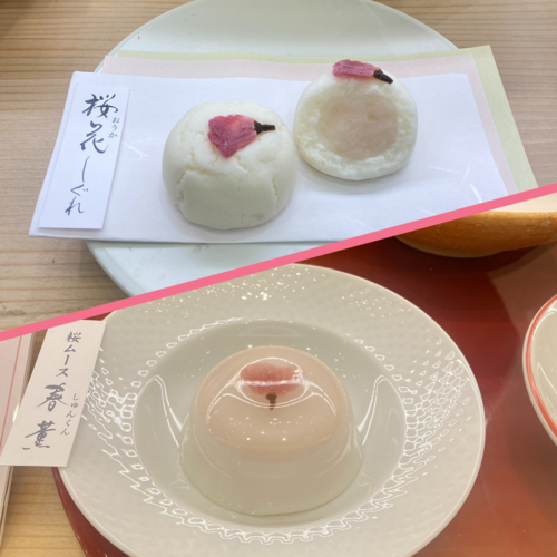 Blank Collage Template.png