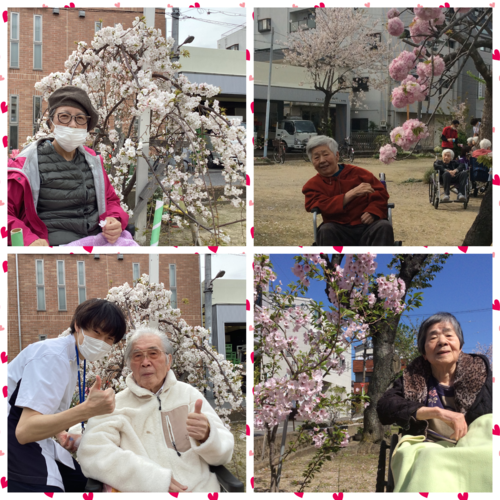 Blank 4 Grids Collage2.png