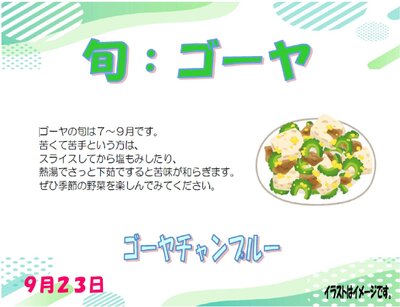 9.23ゴーヤ.jpg