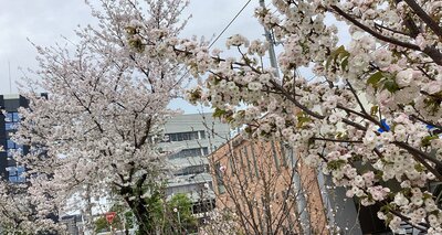 IMG_6837.JPG