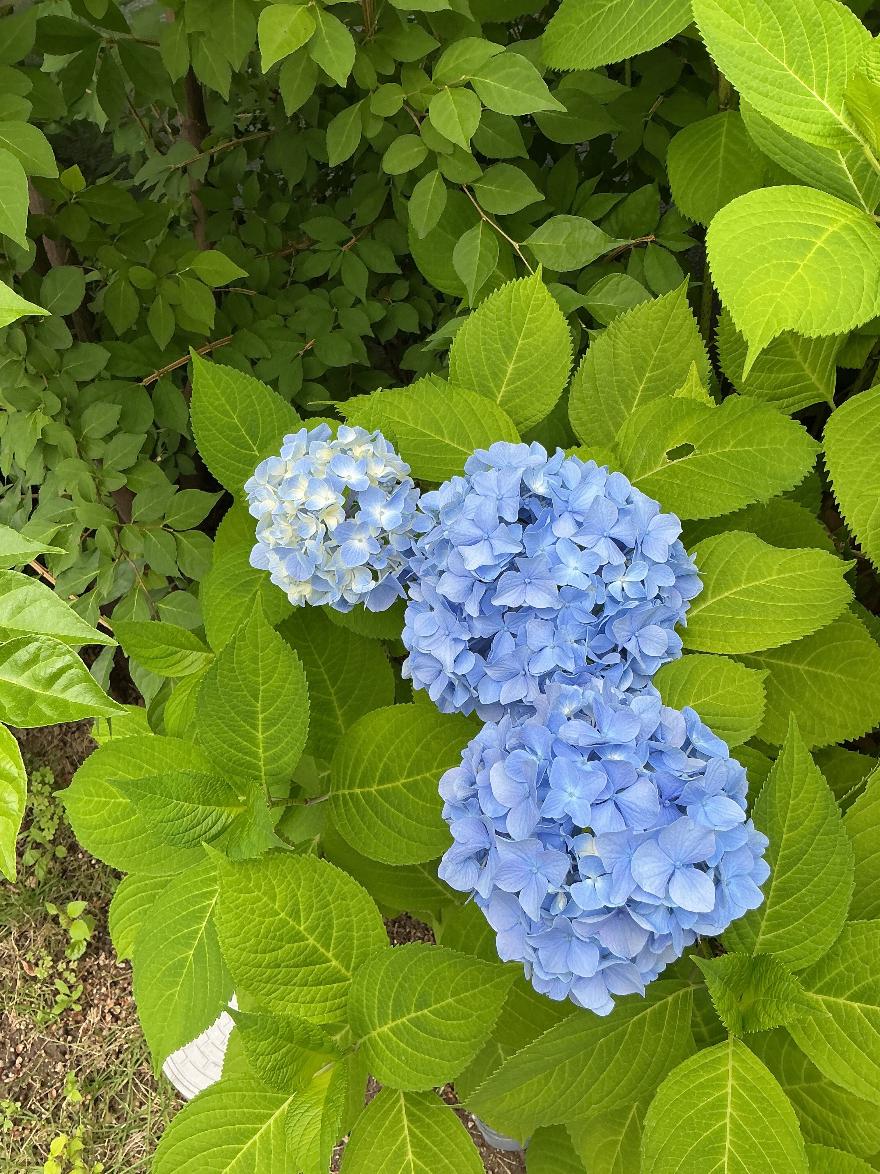 https://www.supercourt.jp/blog/pre_ikeda/IMG_2326.JPG