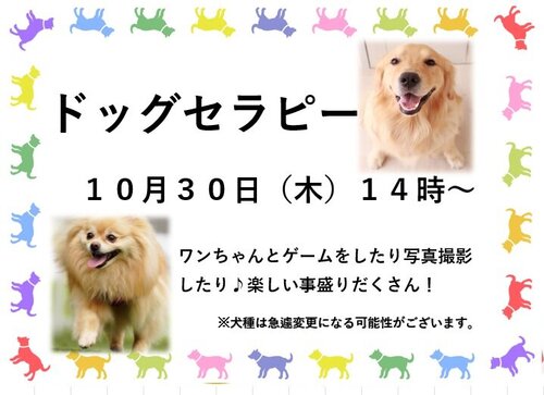 ドッグセラピー.jpg