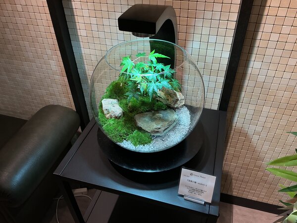 IMG_3458.JPG