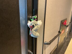 IMG_0017.JPG