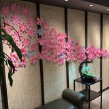 IMG_5887.JPG