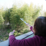 スクリーンショット (322).png