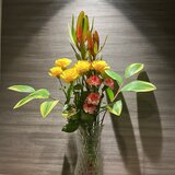 IMG_7699.jpeg