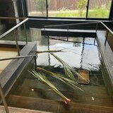 IMG_7748.jpeg