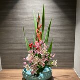 IMG_7889.jpeg