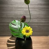 IMG_7928.jpeg