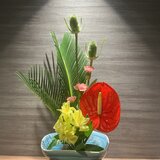 IMG_8013.jpeg