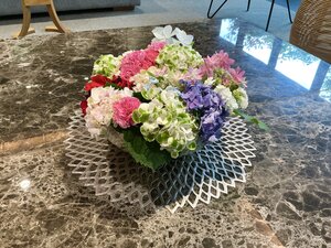 IMG_8032.jpeg