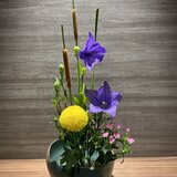 IMG_8187.jpeg