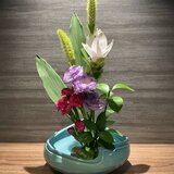 IMG_8443.jpeg