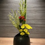 IMG_8388.jpeg