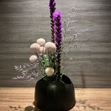 IMG_8315.jpeg