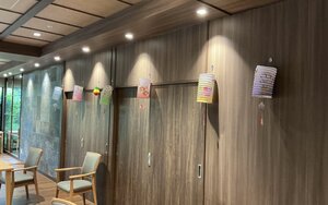 IMG_8308.jpeg