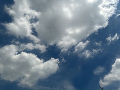 IMG_8657.jpeg